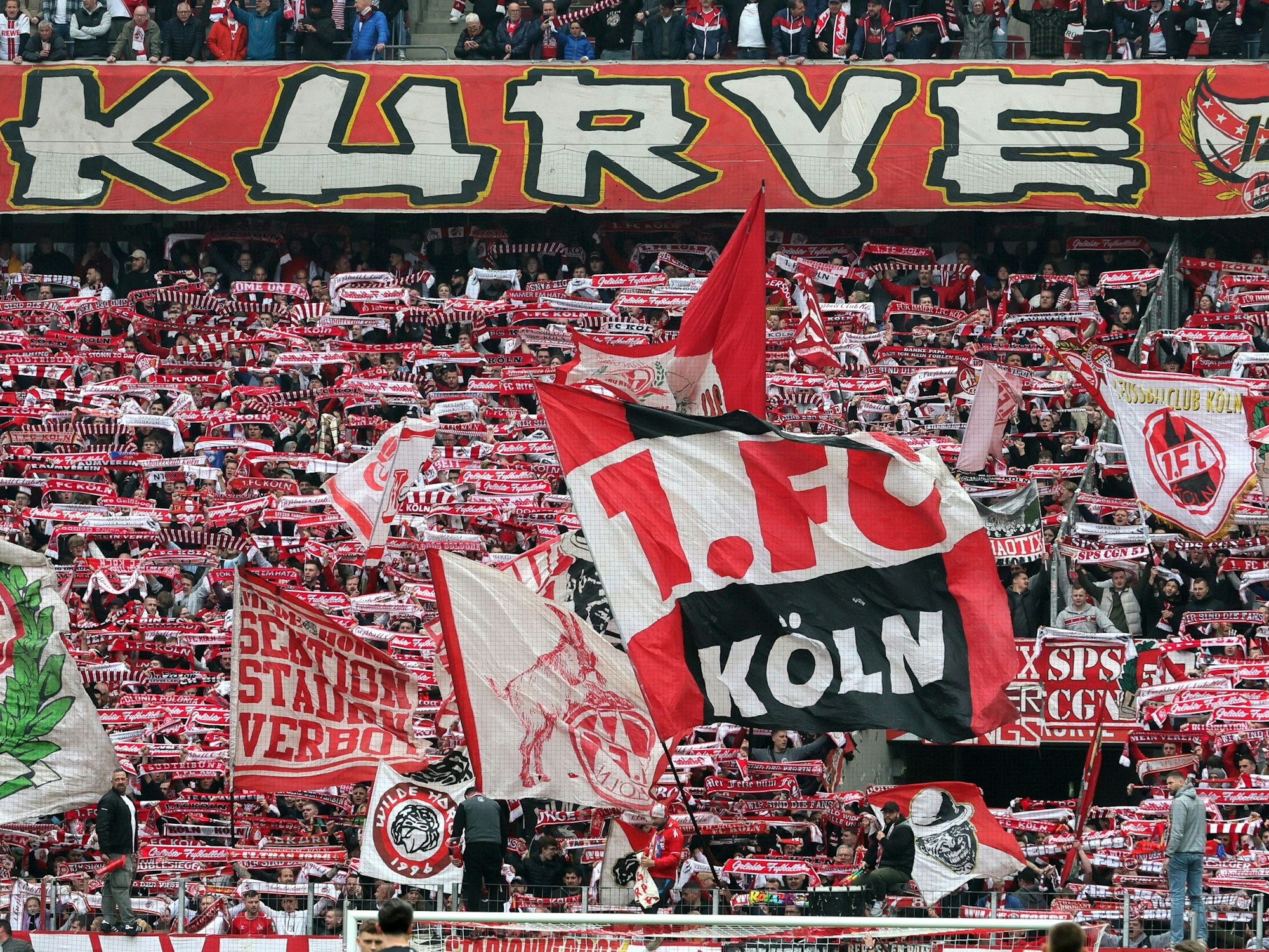 Die Fans des 1. FC Köln vor dem Heimspiel gegen den SC Freiburg am 29. April 2023.