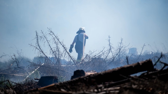 Zwischen Kirchheim und Loch brannte ein Waldstück im Mai 2022. Mehr als 120 Feuerwehrleute waren im Einsatz.