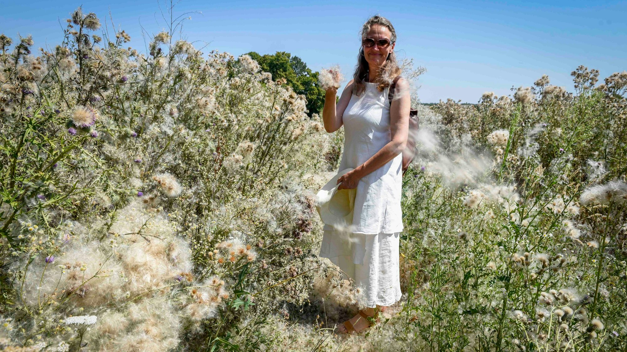 Die Landtagsabgeordnete der Grünen, Antje Grothus, steht in einem weißen Kleid in einem Feld.