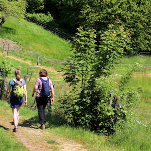 Zwei Familien laufen auf einem Wanderweg zwischen Wiesen hindurch.