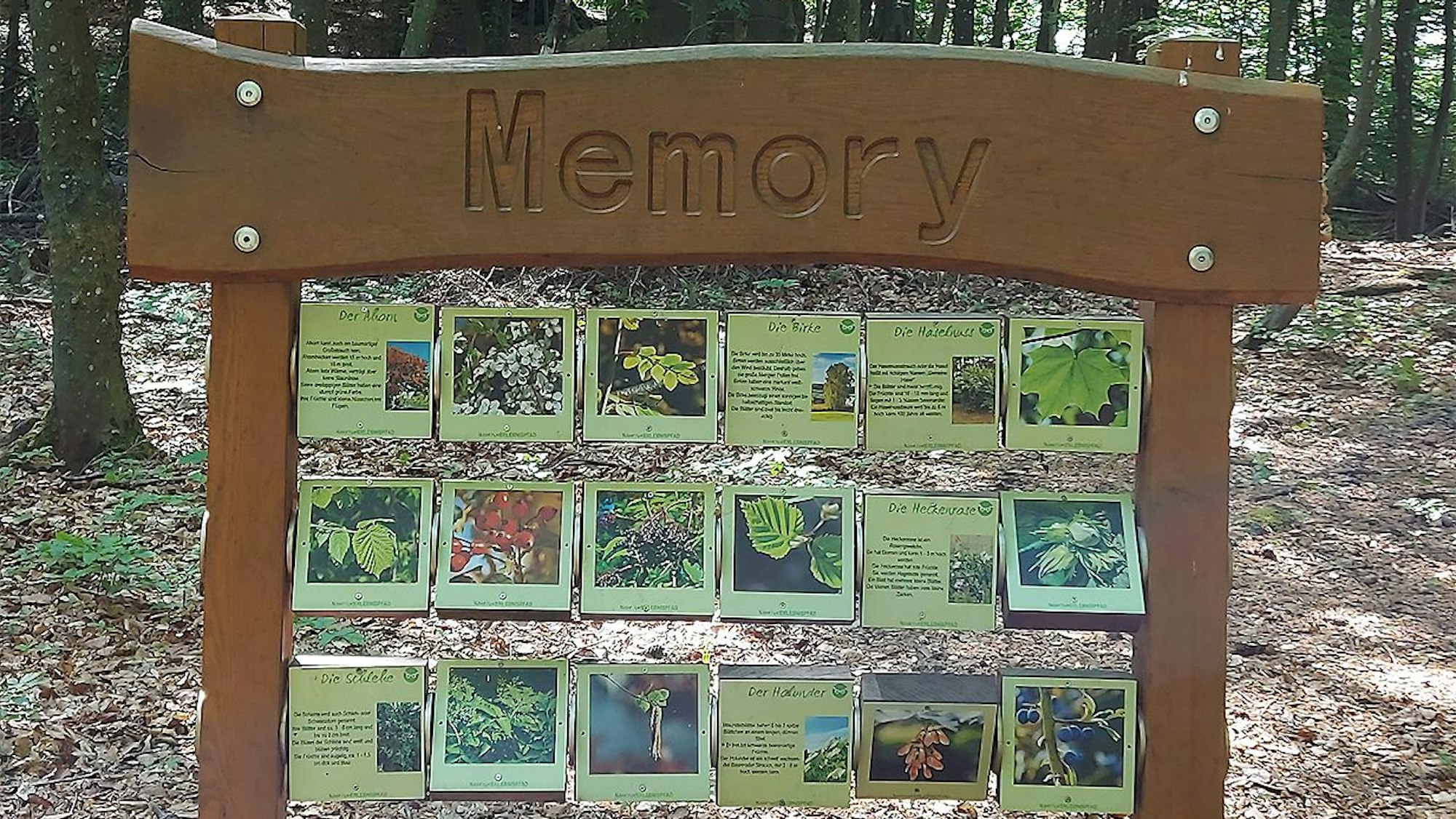 In einem großen Holzrahmen sind verschiedene Kacheln mit Wald-Motiven. Damit können Kinder ein Wald-Memory spielen.