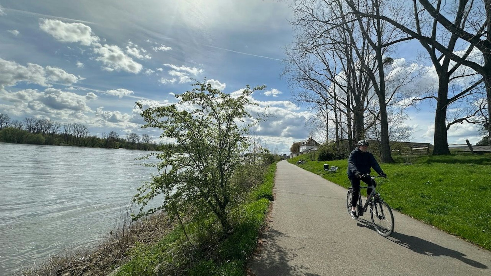 Ein Fahrrad-Fahrer fährt den Radweg entlang am Rhein.