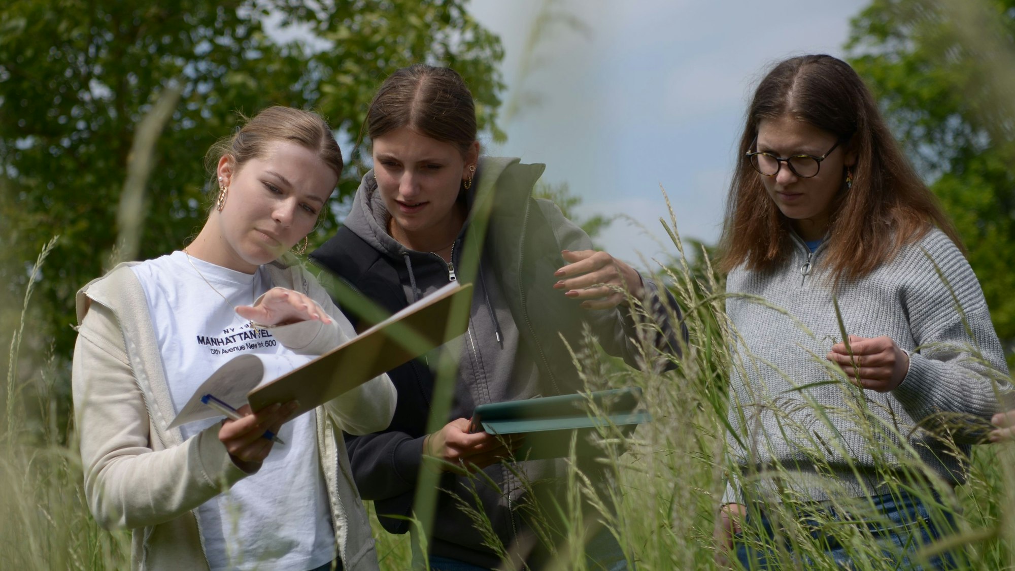 Das Bild zeigt drei Schülerinnen der elften Klasse, die im Rahmen eines Naturschutzprojekts mit Klemmbrettern auf einer Wiese mit hohen Gräsern unterwegs sind.