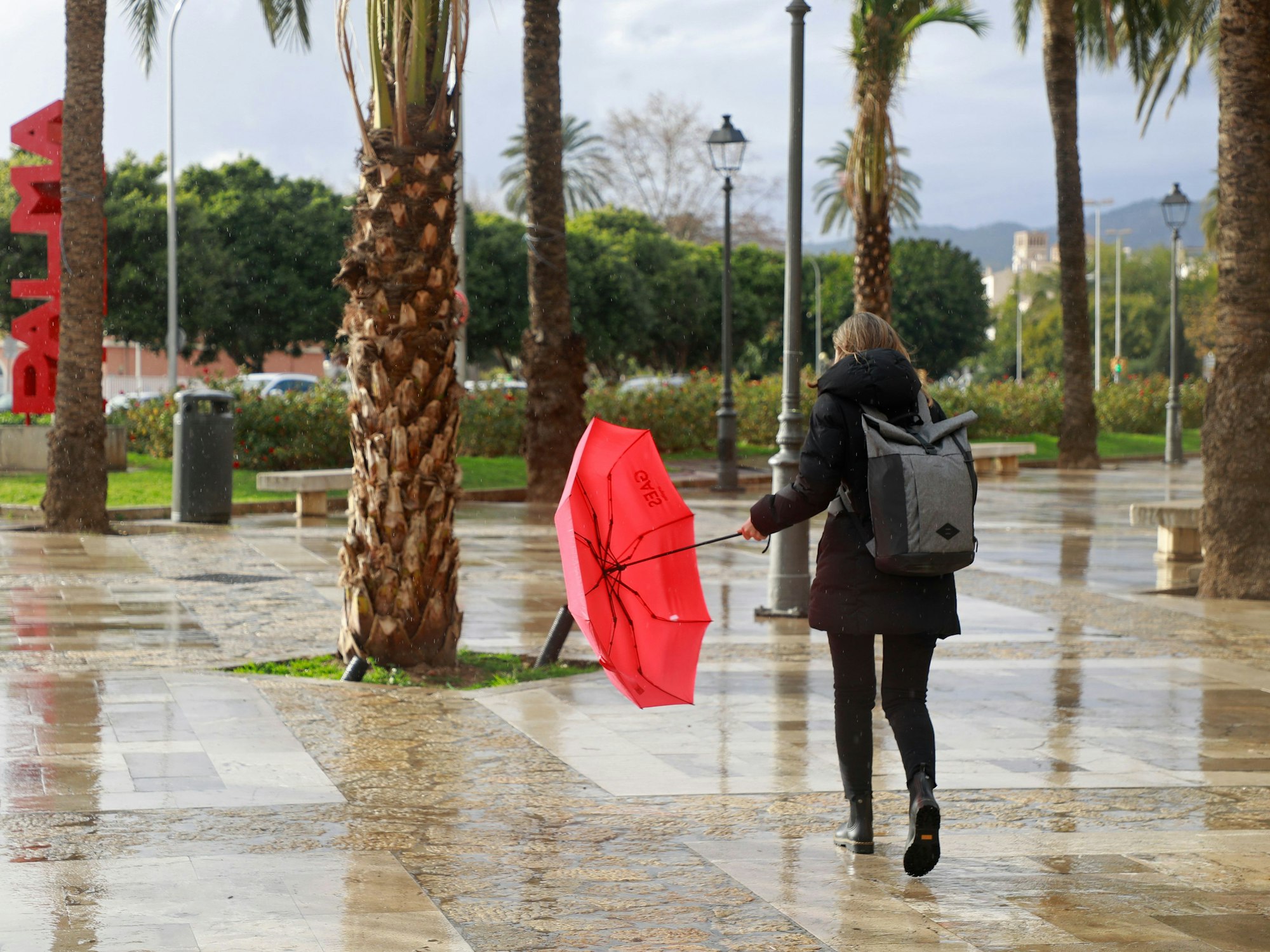 Eine Frau mit einem roten Regenschirm geht vorbei an Palmen in Palma auf Mallorca.