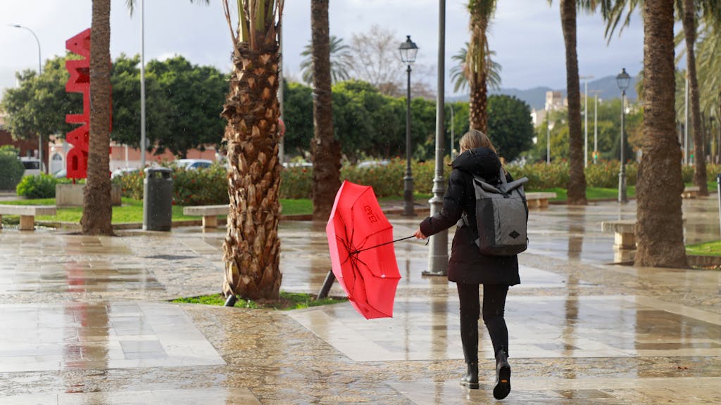 Eine Frau mit einem roten Regenschirm geht vorbei an Palmen in Palma auf Mallorca.
