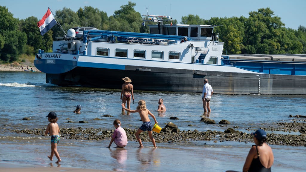 Am Rodenkirchner Strand baden am 13. August Erwachsene und Kinder im Rhein.