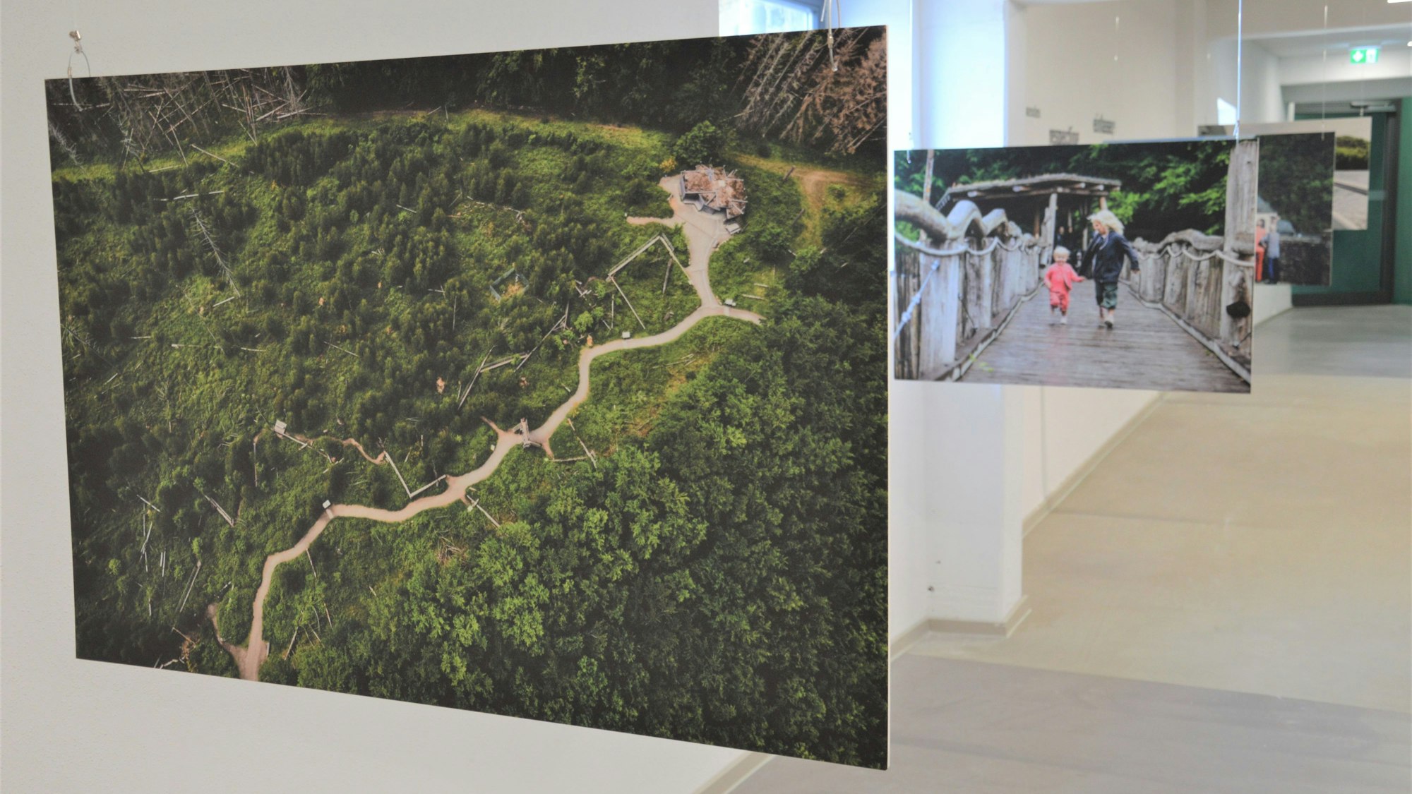 Mehrere Bilder hängen in einem Raum. Sie sind Bestandteil der Ausstellung barrierefreier Tourismus im Naturpark  Nordeifel.