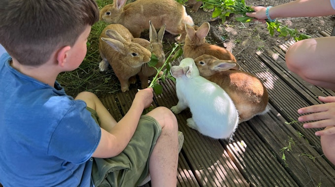 Kinder füttern die Kaninchen im Jugendzentrum Grengel mit Grünzeug.