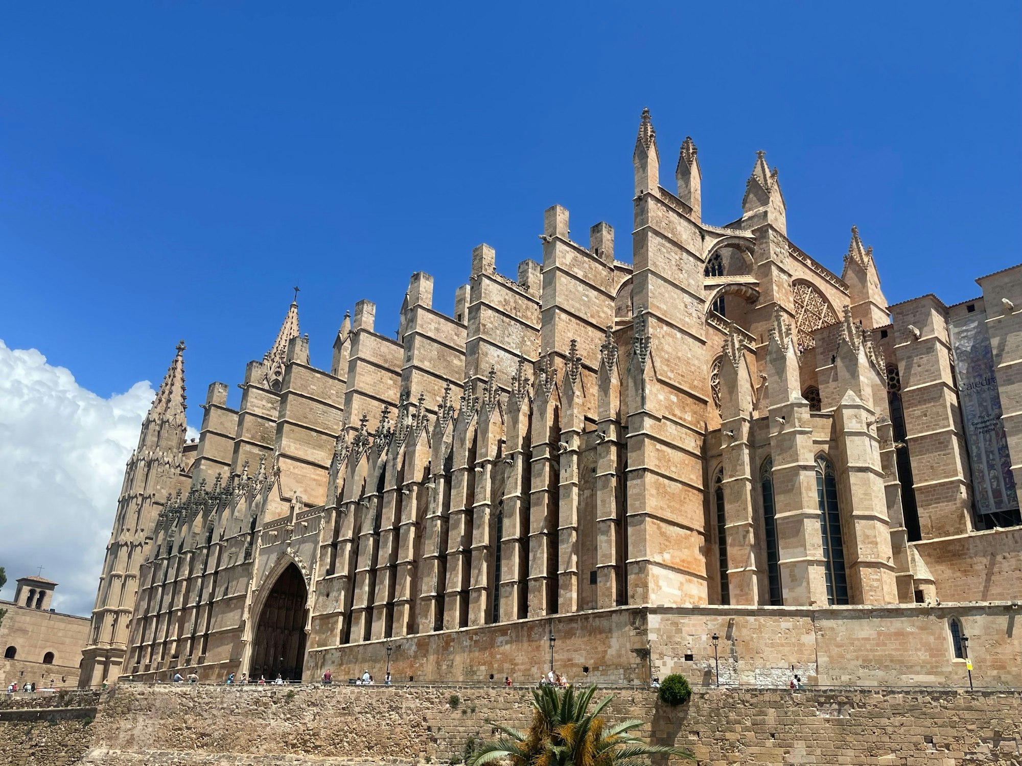 Die Kathedrale „La Seu“ in Palma de Mallorca, aufgenommen am 6. Juni 2023.
