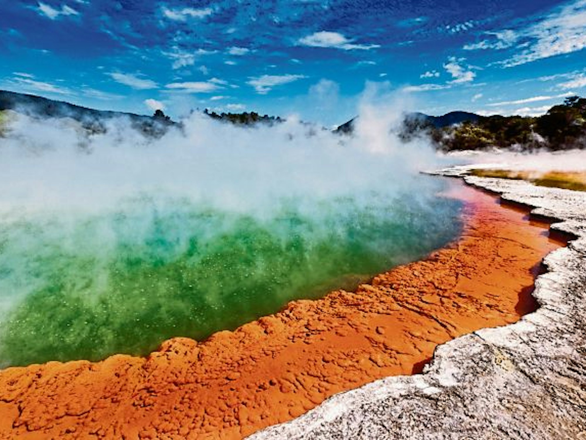 Heiße Quellen von Rotorua in Neuseeland