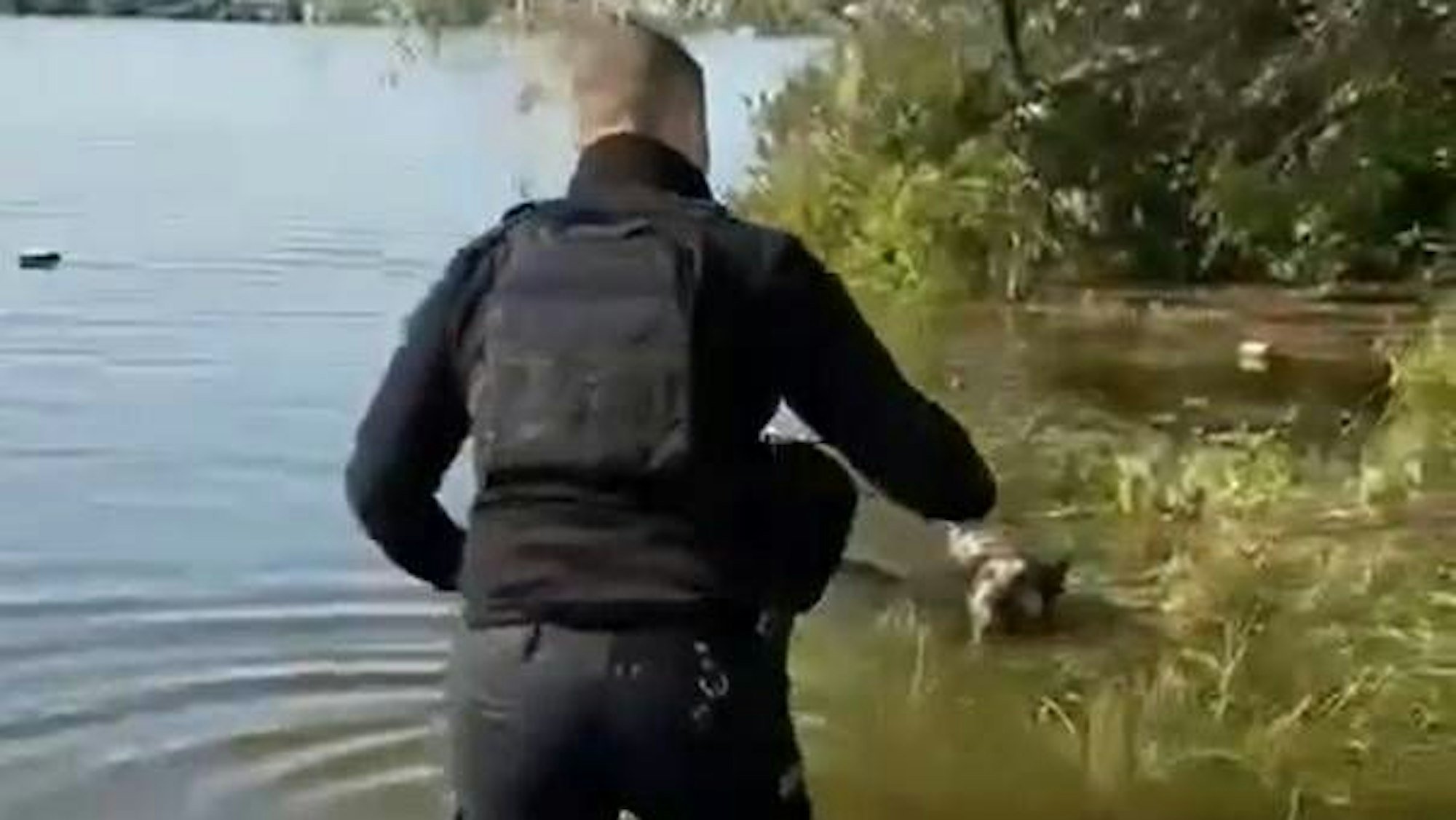 Ein Screenshot eines Videos, das von der ukrainischen Polizei zur Verfügung gestellt wurde, zeigt die Rettung eines Hundes nach der Flutkatastrophe nahe Cherson.
