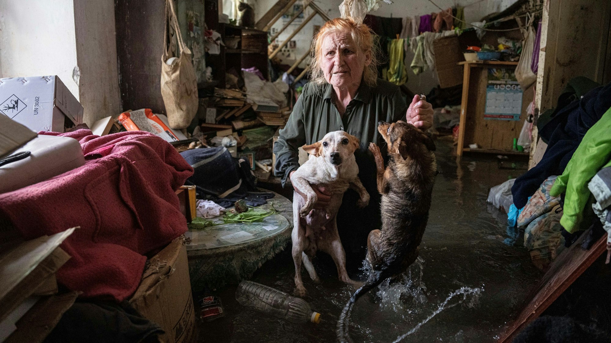 06.06.2023, Ukraine, Cherson: Eine Anwohnerin hält ihre Haustiere im Arm, während sie in ihrem Haus steht, das überflutet wurde. Die Ukraine beschuldigte die russische Streitkräfte, den Kachowkaer Stausee und ein Wasserkraftwerk in einem von Russland kontrollierten Teil der Südukraine gesprengt zu haben. Foto: Evgeniy Maloletka/AP/dpa +++ dpa-Bildfunk +++