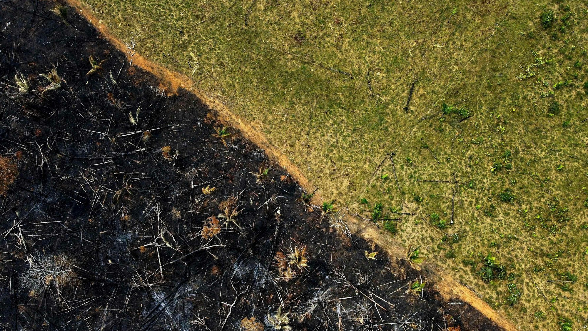 Entwaldung im brasilianischen Amazonasgebiet.