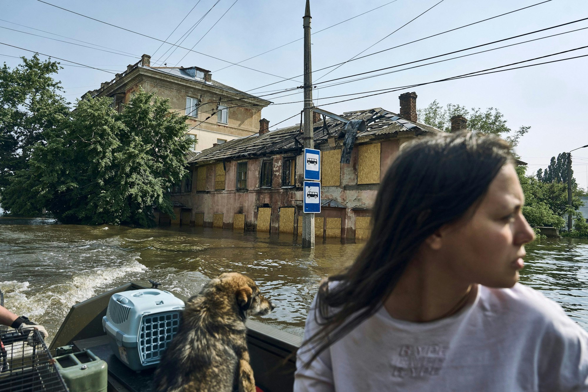Eine Anwohnerin und ihre Haustiere werden auf einem Boot aus einem überfluteten Stadtviertel evakuiert.