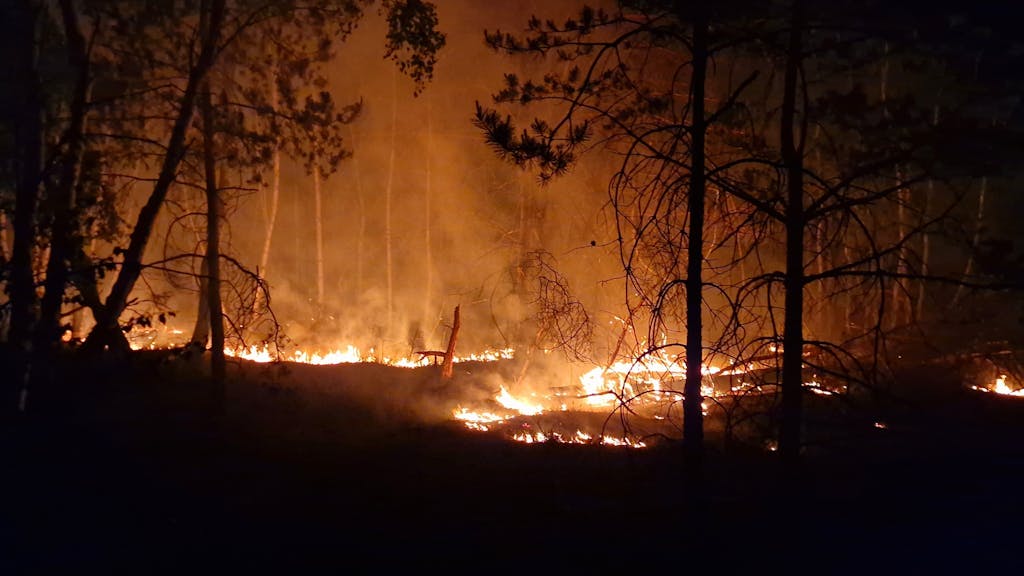Ein Waldbrand bei Jüterborg.