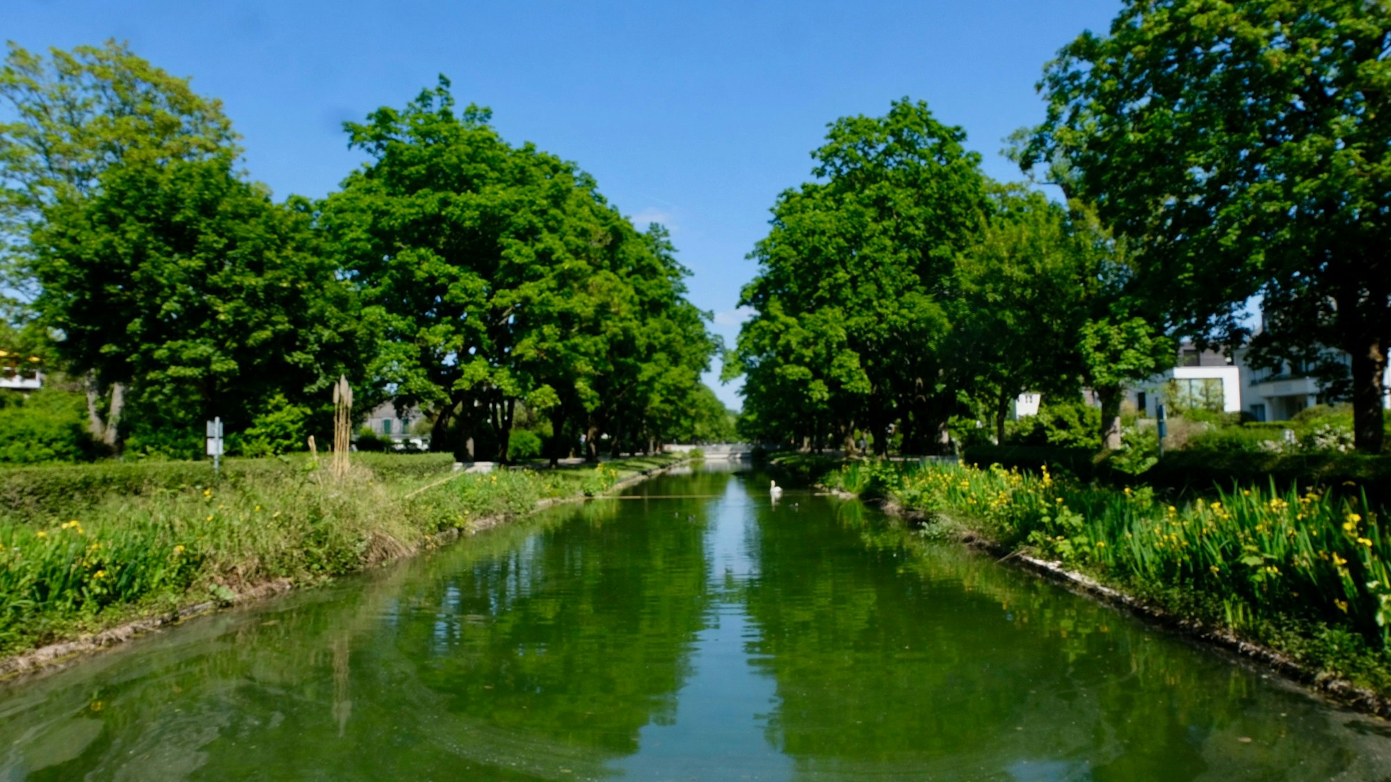 Ein Kanal fließt zwischen Bäumen