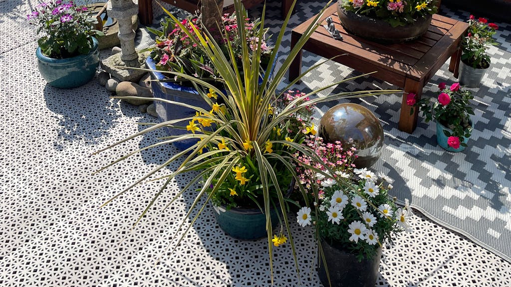 Mediterranes Pflanzen-Arrangement auf einer Terrasse