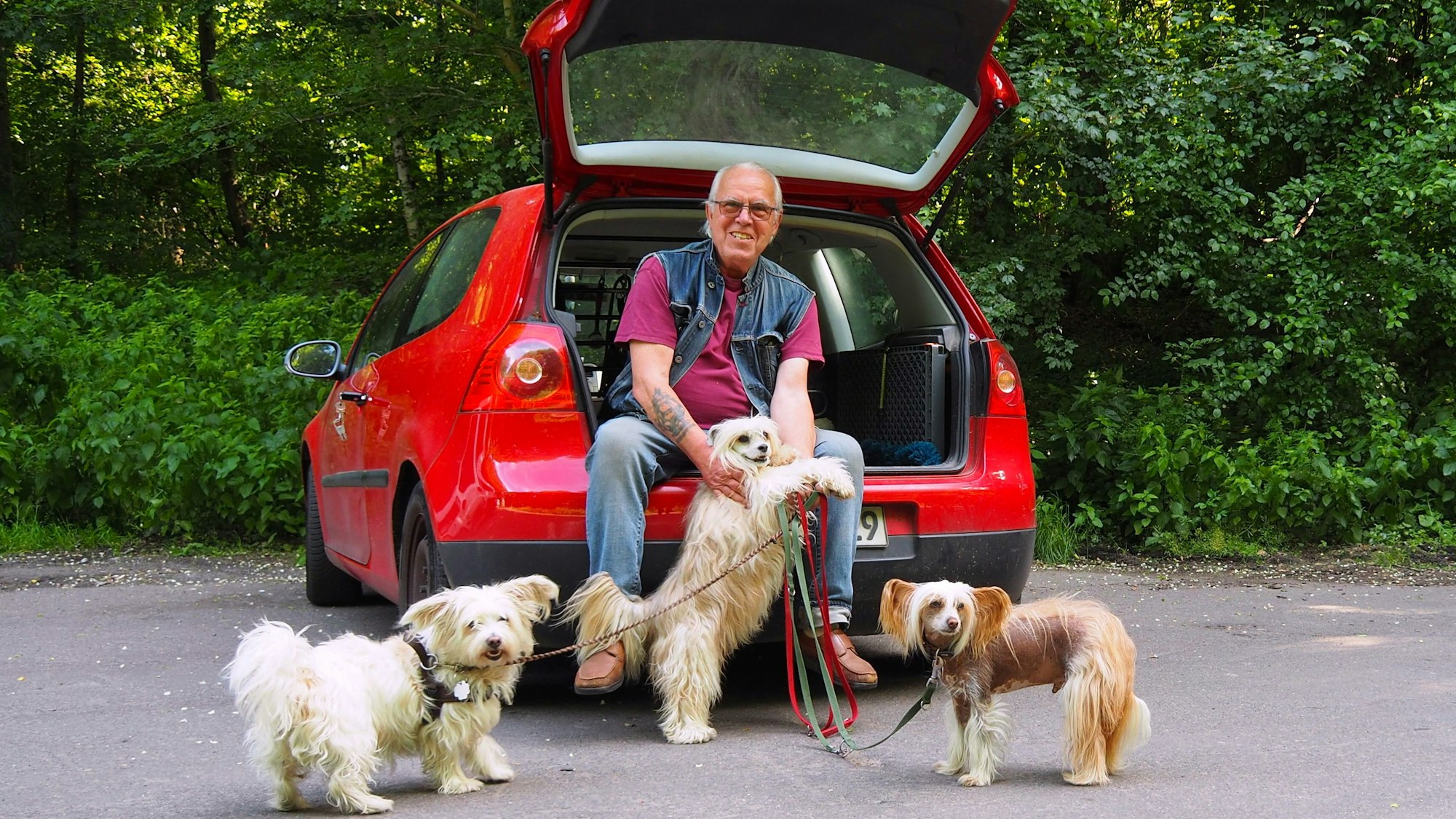 Karl-Heinz Schneider sitzt im Kofferraum seines Autos mit drei Hunden an der Leine.