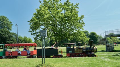 Blick auf den Rheinpark in Köln, wo regelmäßig die Bimmelbahn fährt. Menschen genießen das Grün in Deutz.