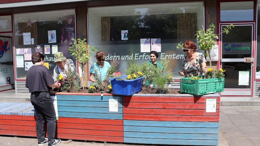 Fünf Frauen pflanzen Blumen und Beeren-Sträucher in rot-blaue Hochbeete.&nbsp;