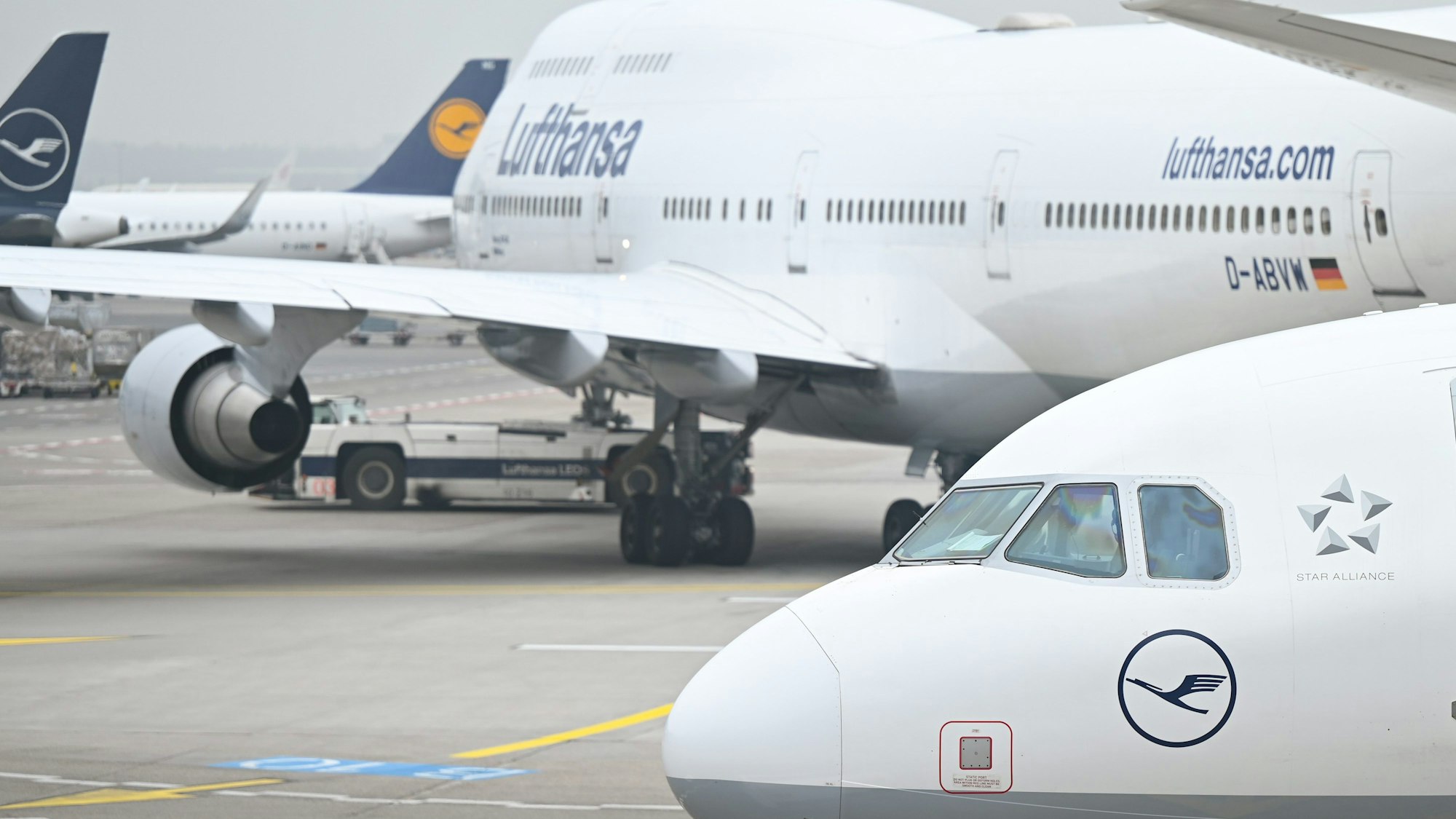 Maschinen der Lufthansa sind am Terminal 1 am Flughafen Frankfurt zu sehen.