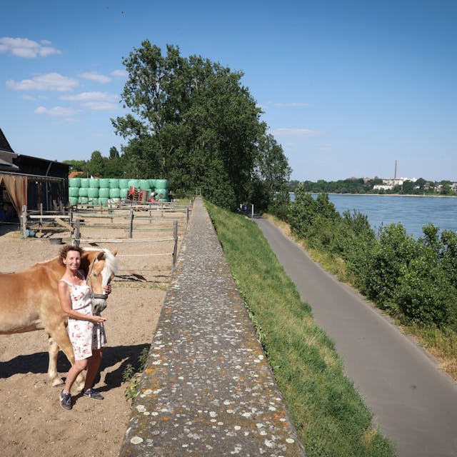 Petra Rottscheidt mit Haflinger Aladin auf dem Pflasterhof in Weiß. Nur die Hochwassermauer und der Leinpfad trennen das Grundstück vom Rhein.