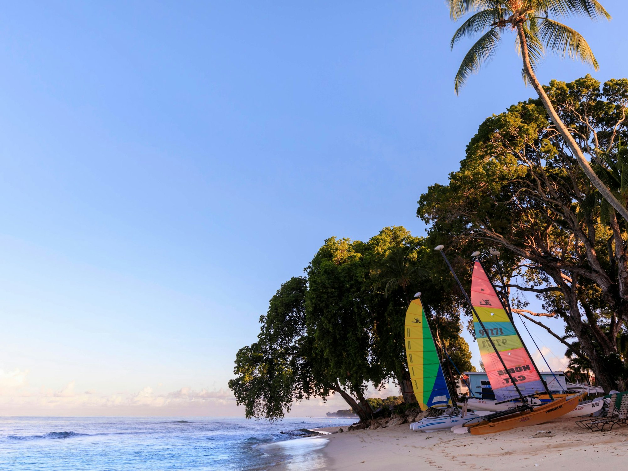 Bunte Segelboote werden an einem Strand von Barbados gelagert. Hinter ihnen sind Bäume und Palmen zu sehen, daneben das türkise Meer.