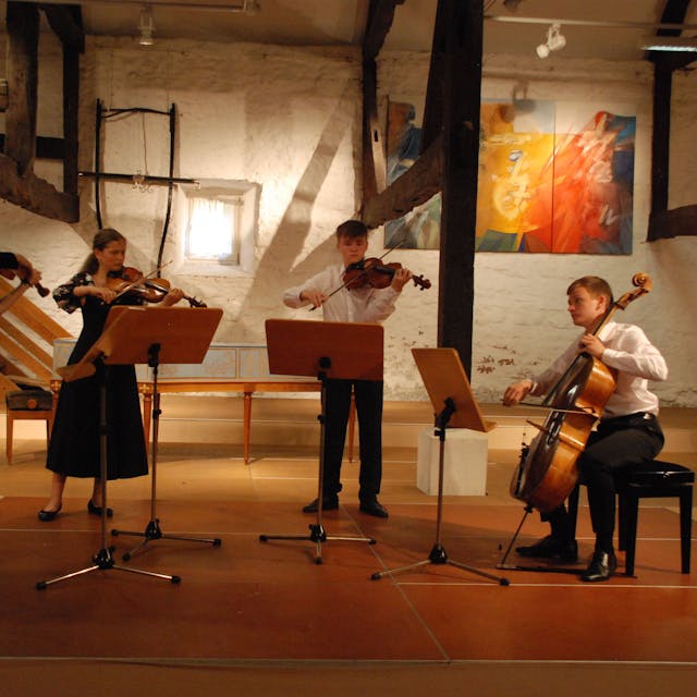 Die jungen Musiker mit ihren Streichinstrumenten beim Konzert.