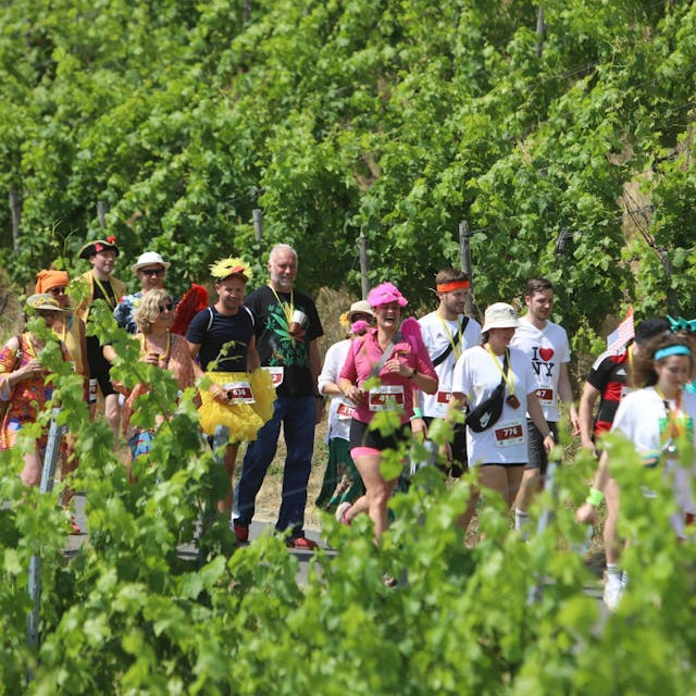 Viele Menschen laufen kostümiert vorbei an den grünen Weinstöcken.