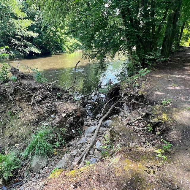 Wupperrunde: Beim Hochwasser im Juli 2021 wurden mehrere Bäume am Ufer aus der Böschung gerissen.