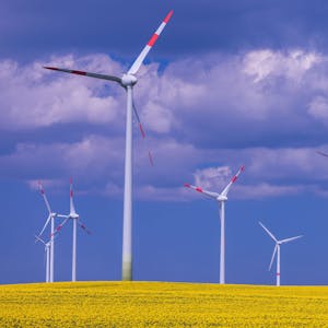 Windkraftanlagen verschiedener Hersteller drehen sich hinter einem blühenden Rapsfeld in einem Windpark. (Symbolbild)