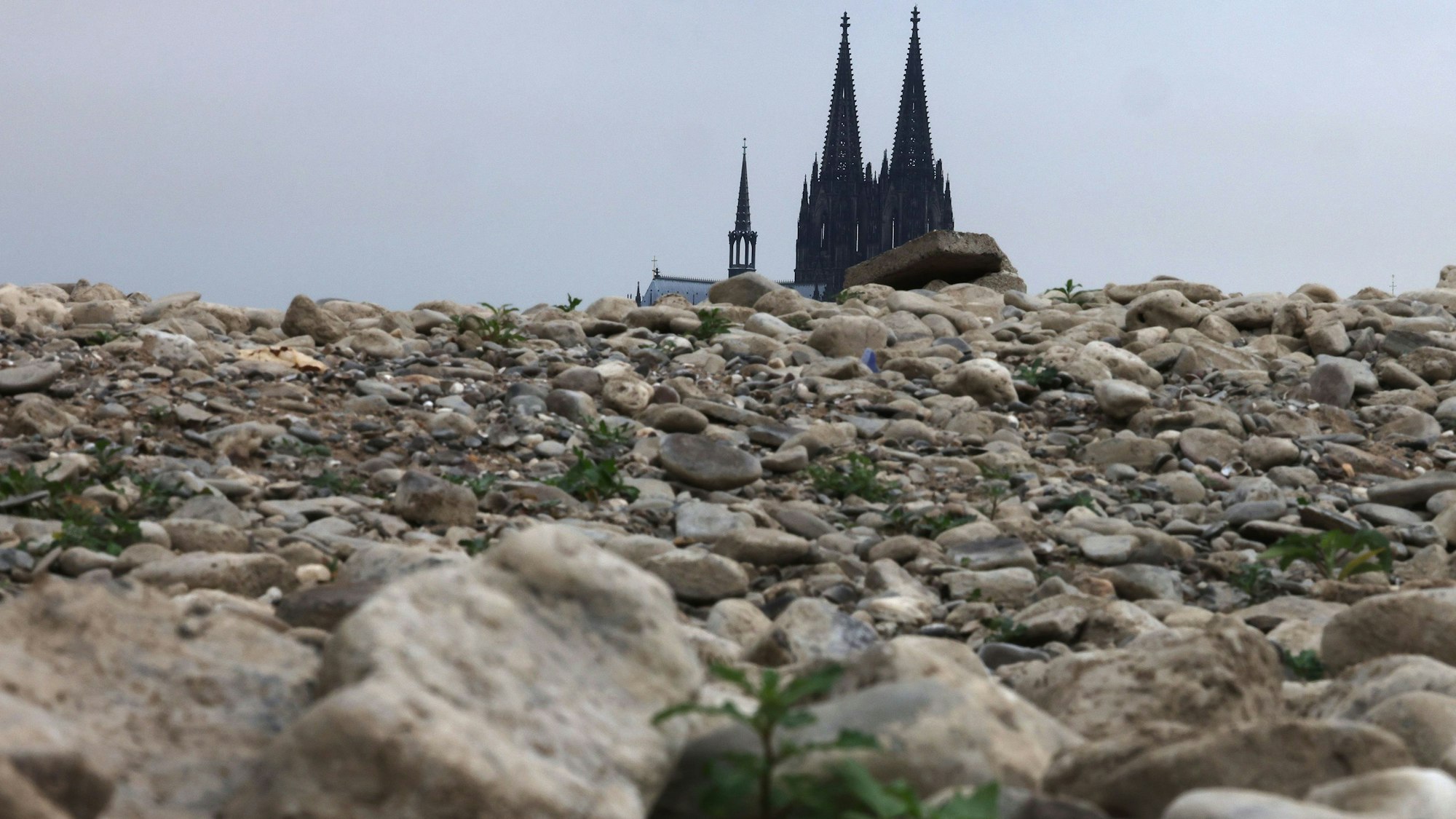 Der Kölner Dom ragt hinter Steinen im ausgetrockneten Flussbett desRheins empor.