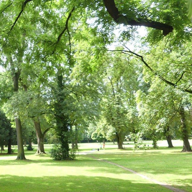 Blick in einen Park, im Vordergrund ist ein Baumstamm zu sehen, an dem ein Schild Naturdenkmal angebracht ist.&nbsp;