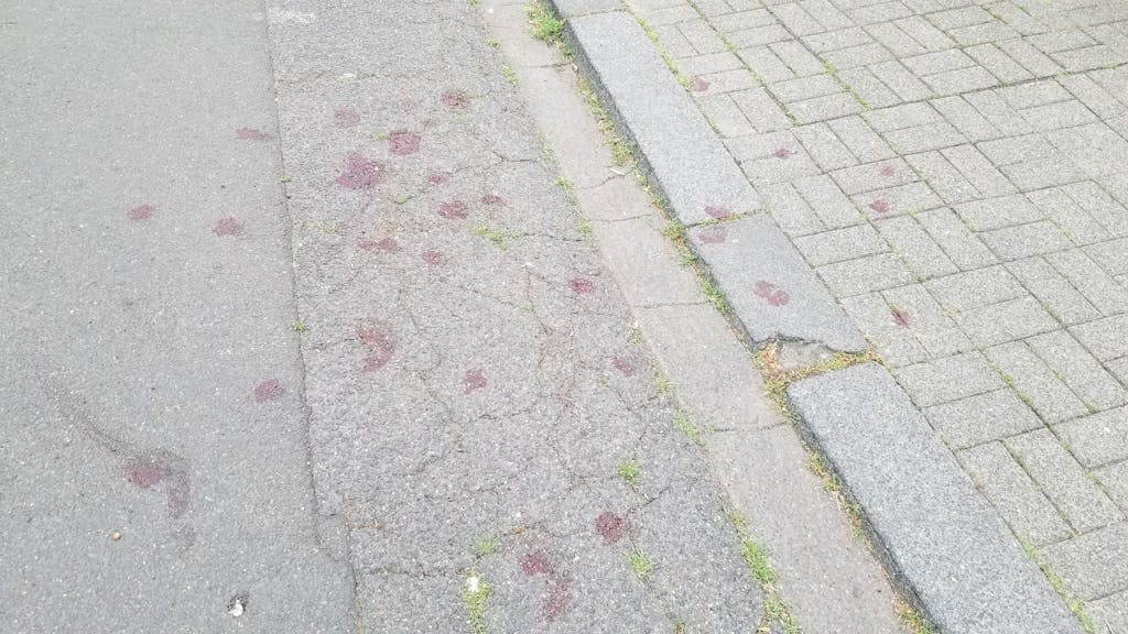 Nach einem Streit Weidenpesch sind zahlreiche Blutspuren auf der Straße zu sehen.