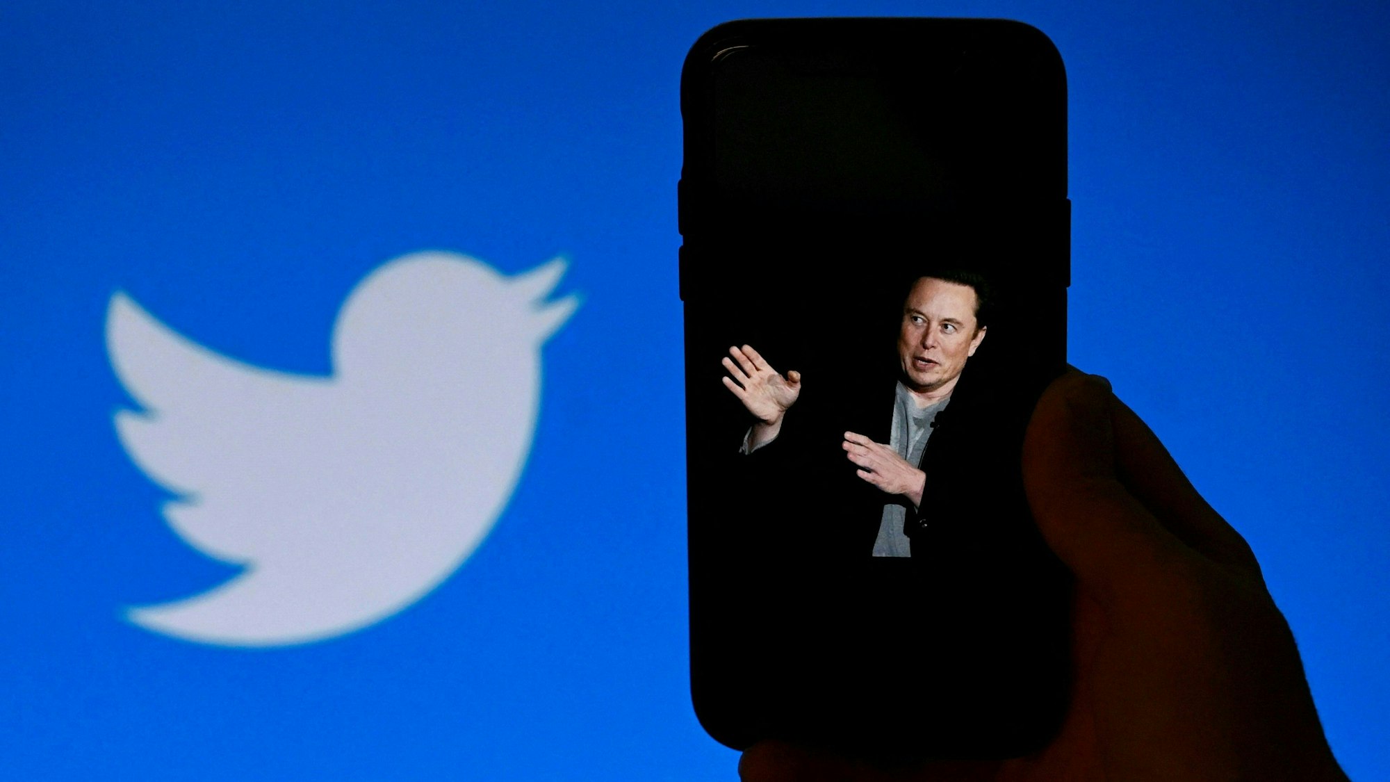 Eine Person hält ein Smartphone mit einem Foto von Twitter-Chef Elon Musk, im Hintergrund ist das Logo des sozialen Netzwerks zu sehen. Am Samstag, 1. Juli, haben hunderte Userinnen und User Ausfälle bei Twitter gemeldet.