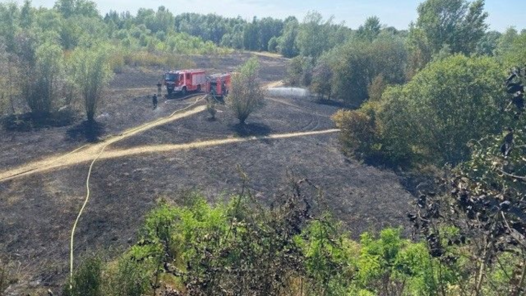 Auf dem Feldstück in Köln-Weidenpesch ist nach dem Brand nicht viel stehengeblieben. Die Kölner Feuerwehr hat verhindert, dass sich das Feuer auf angrenzende Bäume ausbreitet.