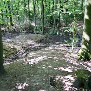 Die Suche nach wertvollen Rohstoffen hinterließ viele Narben im Boden des Bensberger Waldes.