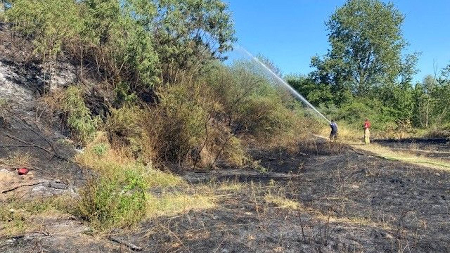Feuerwehrleute löschen und bewässern Vegetation nach dem Brand auf dem Feldstück in Weidenpesch.