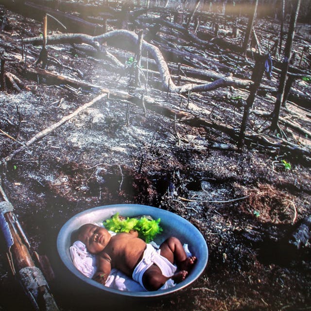 Ein dunkelhäutiges Baby schläft in einer Schale, in der auch Gemüse liegt. Um das Kind herum ist ein frisch brandgerodeter Wald zu sehen.&nbsp;