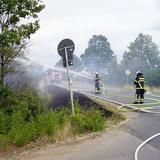 Feuerwehrleute halten mit ihren Strahlrohren ins brennende Buschwerk neben der Straße.