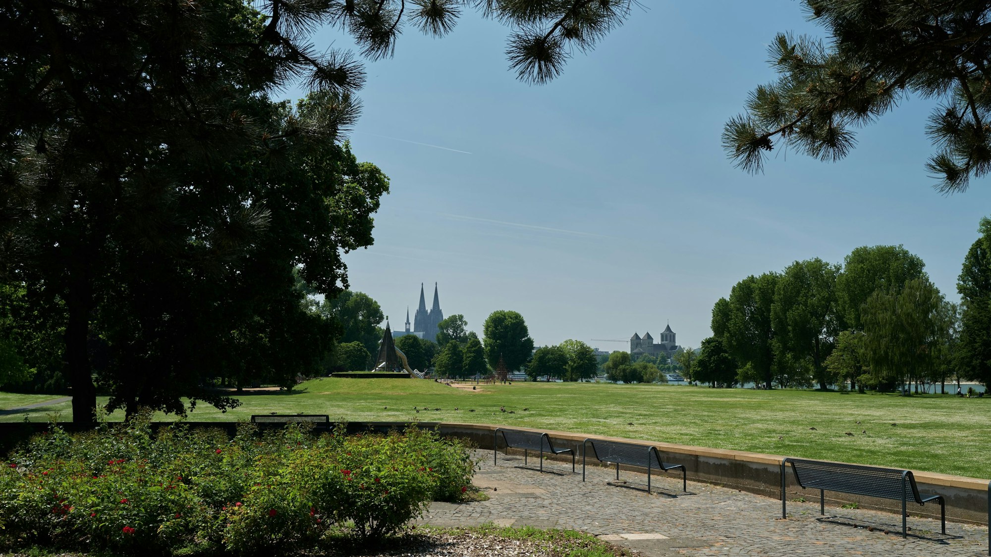 Park mit Wiesen, Bäumen und Bänken, im Hintergrund der Kölner Dom