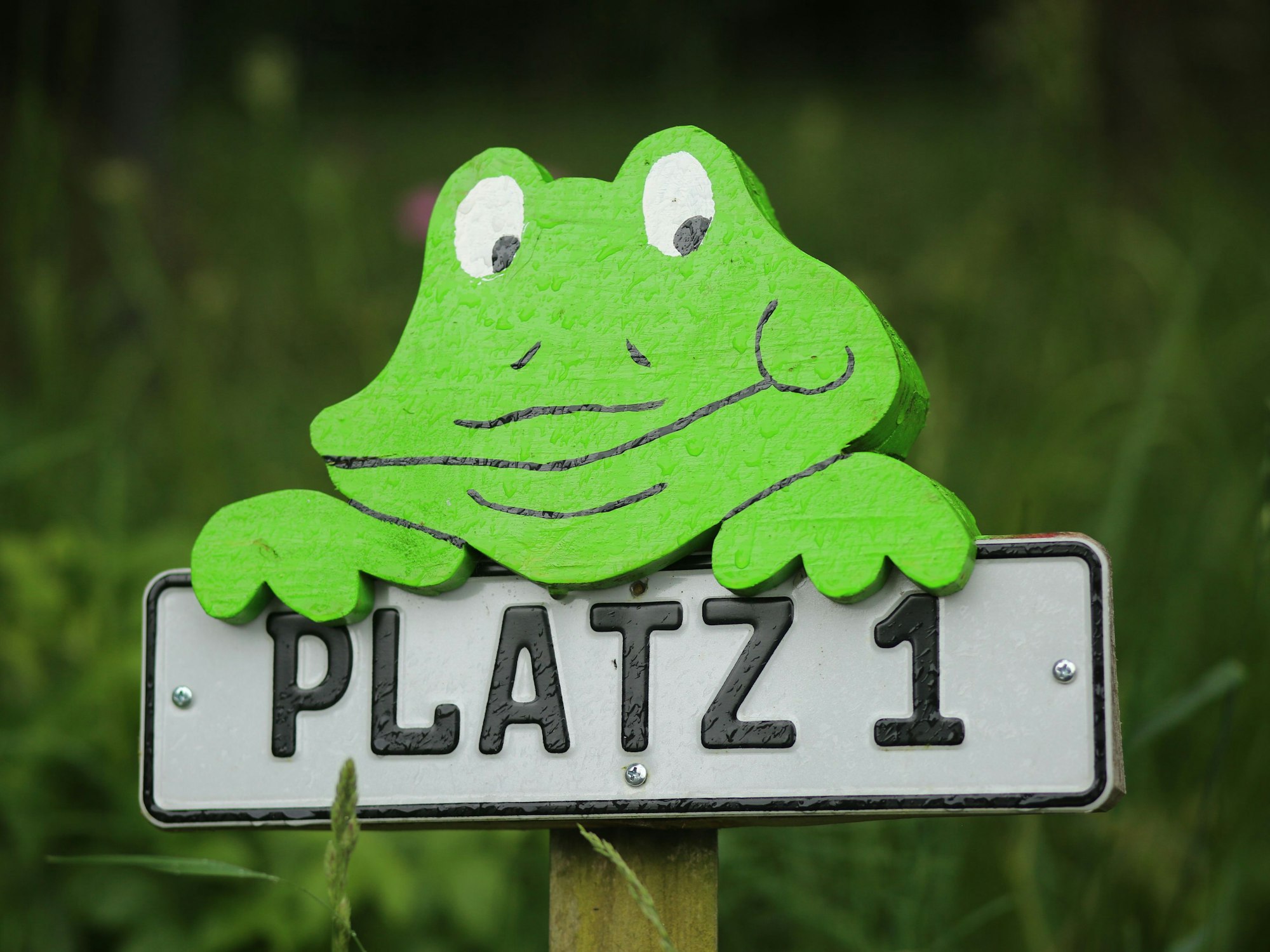 Ein Schild mit der Abbildung eines Frosches weist auf Platz 1 auf einem Campingplatz hin.
