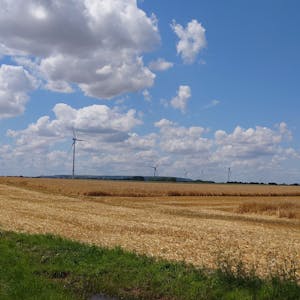 Hinter einem teilweise abgeernteten Weizenfeld ragen fünf Windräder in den Himmel.