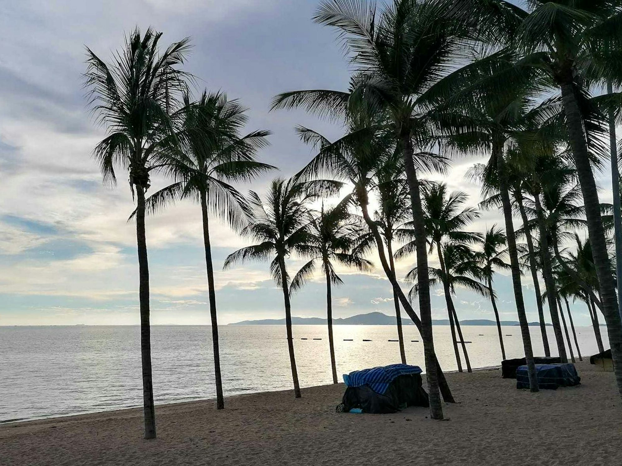 Der Strand von Pattaya in Thailand mit Palmen.