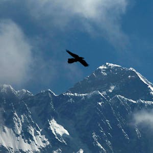 Ein Adler fliegt vor em Hintergrund des Mount Everest.