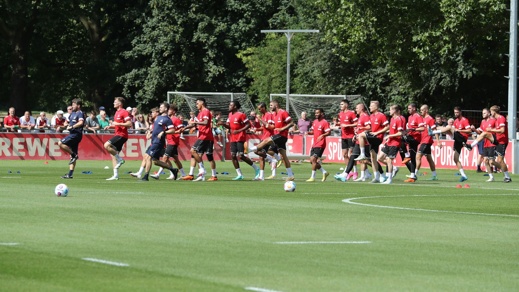 Die FC-Profis laufen beim Trainingsauftakt über den Rasen am Geißbockheim.
