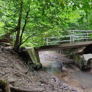 Die bei der Flut 2021 zerstörte Brücke des Wanderwegs am Nordufer des Hasensprungweihers liegt in Trümmern
