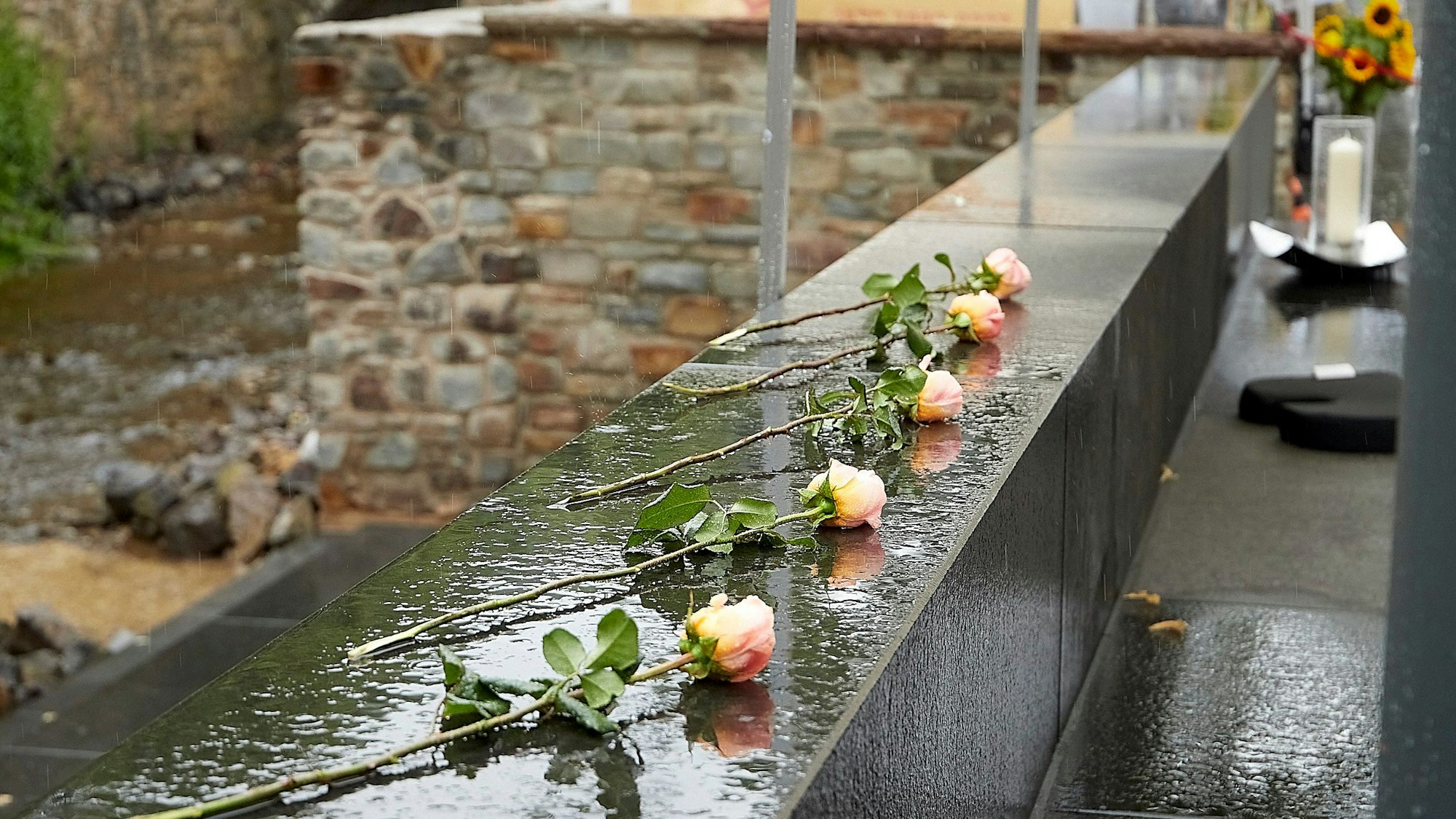 Fünf Rosen liegen in Bad Münstereifel auf einer Mauer.