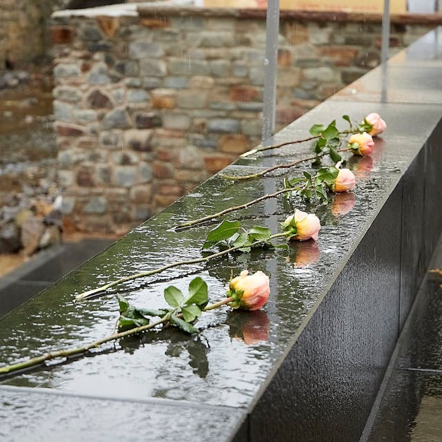 Fünf Rosen liegen in Bad Münstereifel auf einer Mauer.
