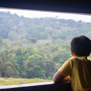 Ein Junge schaut aus dem Fenster (Symbolbild)